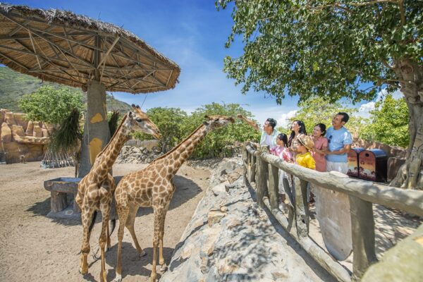 富國島五日遊 野生動物園 X 跨海纜車 X 水上煙火秀